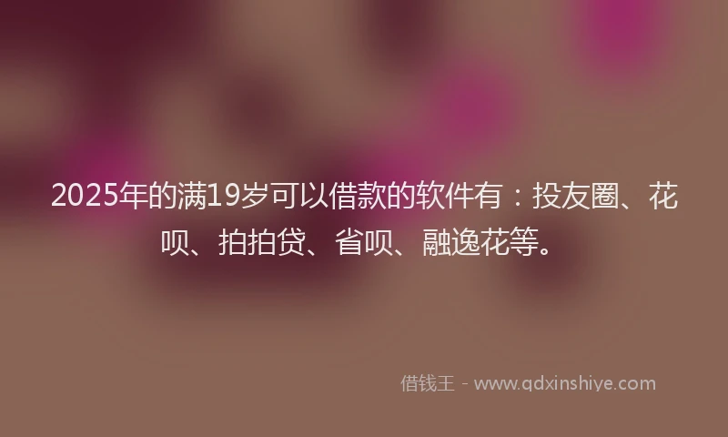 2025年的满19岁可以借款的软件有：投友圈、花呗、拍拍贷、省呗、融逸花等。