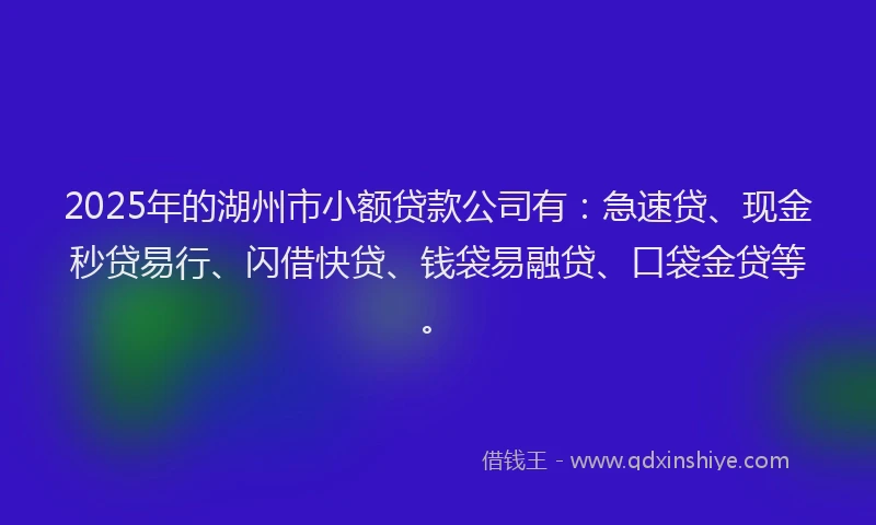 2025年的湖州市小额贷款公司有：急速贷、现金秒贷易行、闪借快贷、钱袋易融贷、口袋金贷等。
