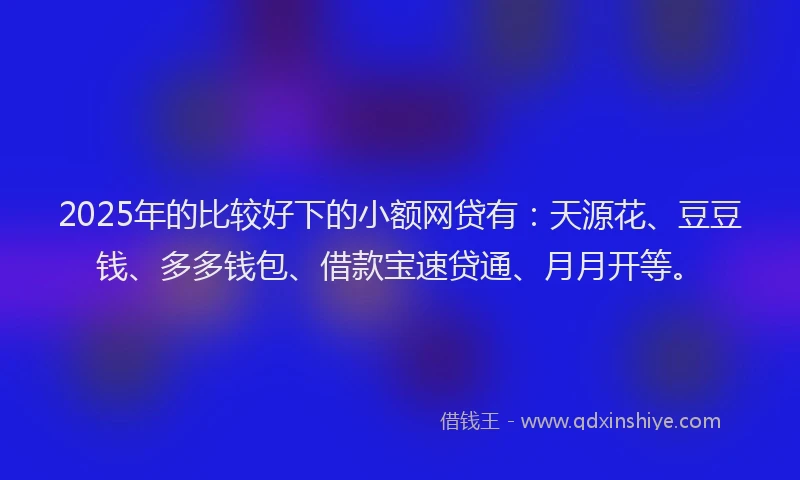 2025年的比较好下的小额网贷有：天源花、豆豆钱、多多钱包、借款宝速贷通、月月开等。