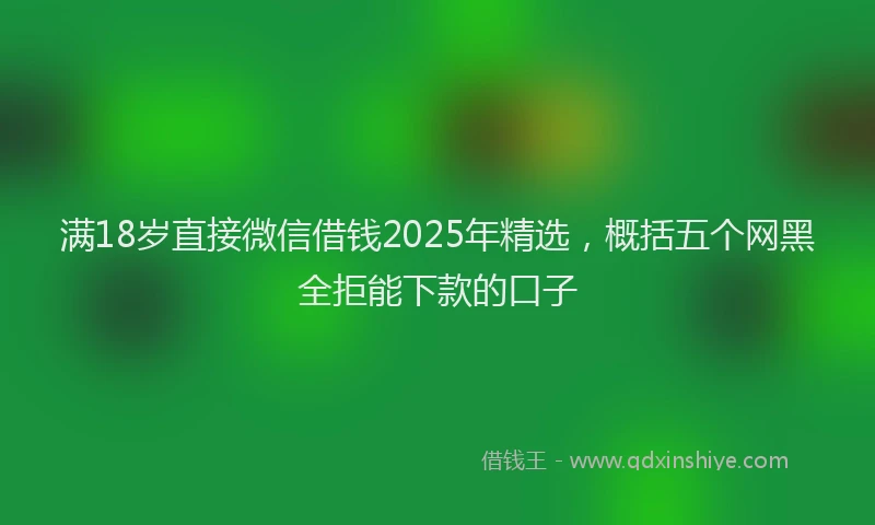 满18岁直接微信借钱2025年精选，概括五个网黑全拒能下款的口子