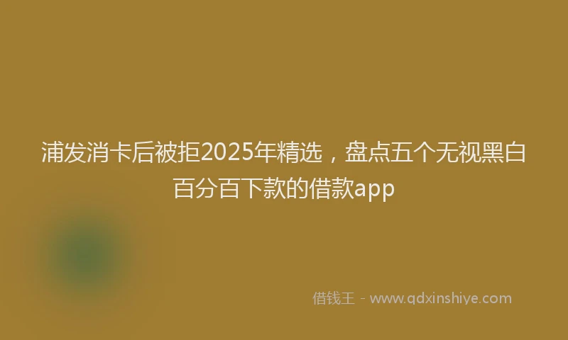 浦发消卡后被拒2025年精选，盘点五个无视黑白百分百下款的借款app