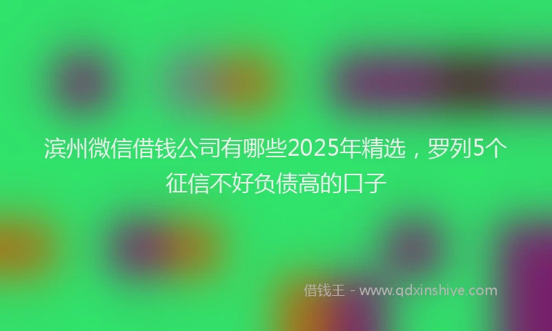 滨州微信借钱公司有哪些2025年精选，罗列5个征信不好负债高的口子