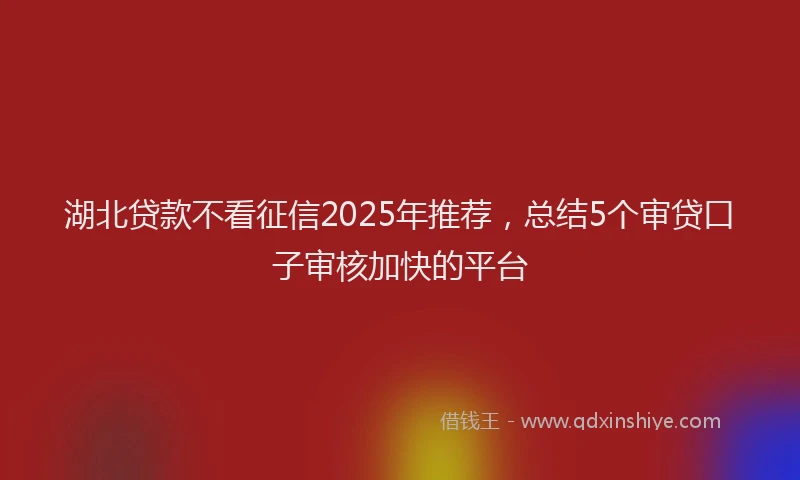 湖北贷款不看征信2025年推荐，总结5个审贷口子审核加快的平台