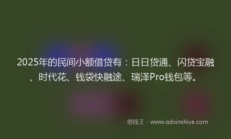 2025年的民间小额借贷有：日日贷通、闪贷宝融、时代花、钱袋快融途、瑞泽Pro钱包等。