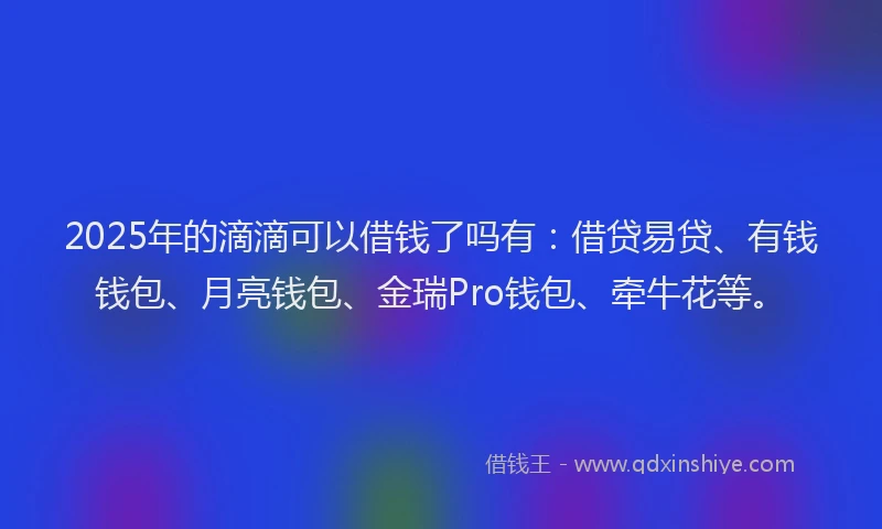 2025年的滴滴可以借钱了吗有：借贷易贷、有钱钱包、月亮钱包、金瑞Pro钱包、牵牛花等。