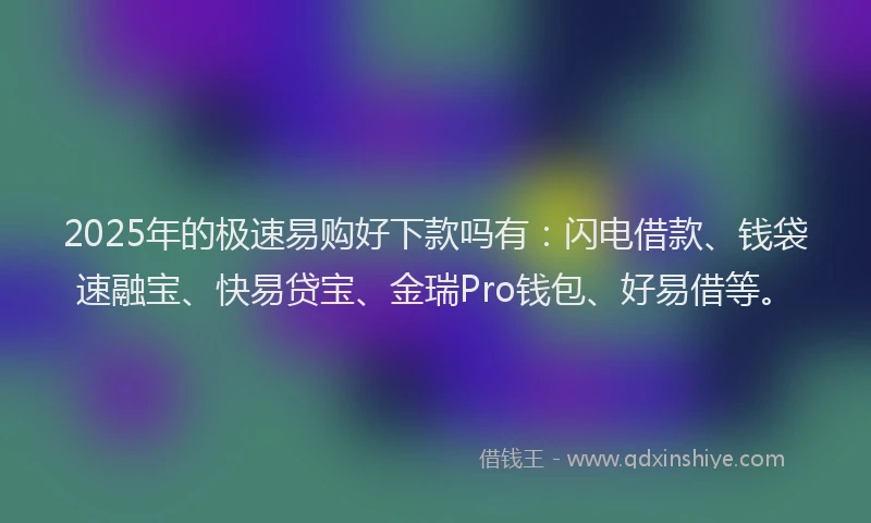 2025年的极速易购好下款吗有：闪电借款、钱袋速融宝、快易贷宝、金瑞Pro钱包、好易借等。