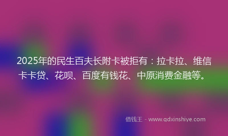 2025年的民生百夫长附卡被拒有：拉卡拉、维信卡卡贷、花呗、百度有钱花、中原消费金融等。