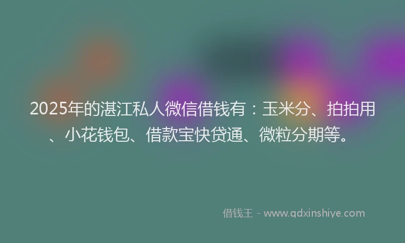 2025年的湛江私人微信借钱有：玉米分、拍拍用、小花钱包、借款宝快贷通、微粒分期等。