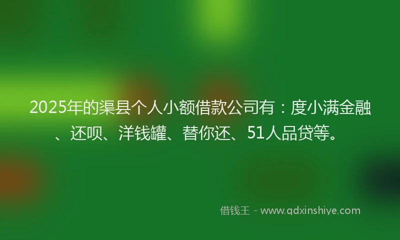 2025年的渠县个人小额借款公司有：度小满金融、还呗、洋钱罐、替你还、51人品贷等。