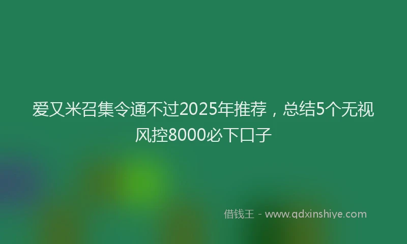 爱又米召集令通不过2025年推荐，总结5个无视风控8000必下口子