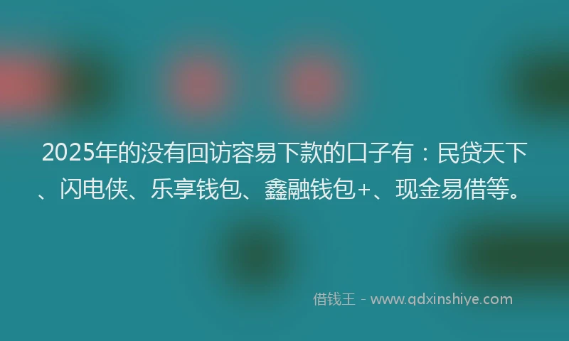 2025年的没有回访容易下款的口子有：民贷天下、闪电侠、乐享钱包、鑫融钱包+、现金易借等。