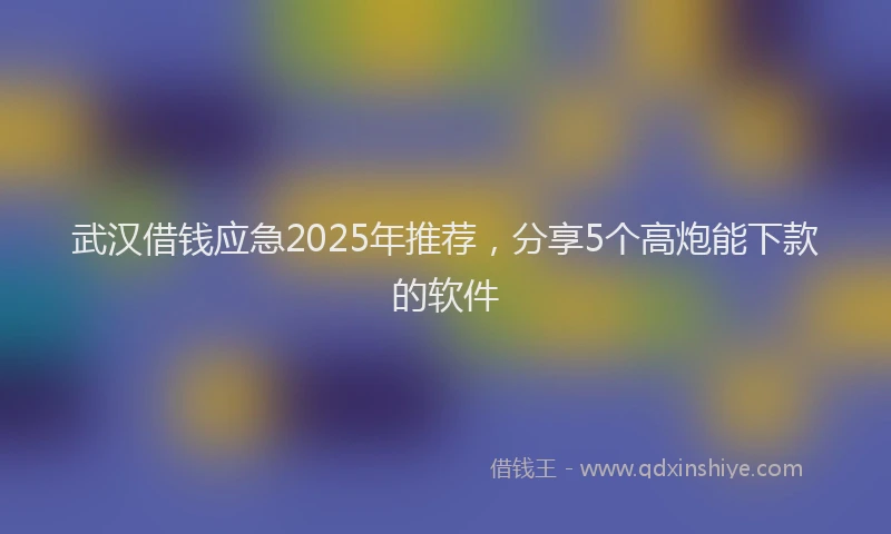 武汉借钱应急2025年推荐，分享5个高炮能下款的软件