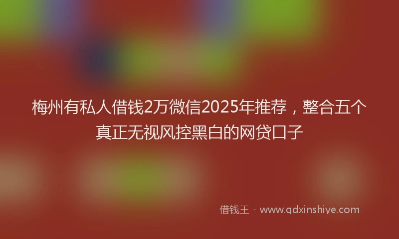 梅州有私人借钱2万微信2025年推荐，整合五个真正无视风控黑白的网贷口子