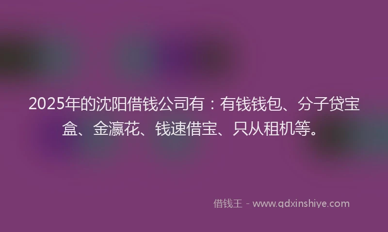 2025年的沈阳借钱公司有：有钱钱包、分子贷宝盒、金瀛花、钱速借宝、只从租机等。