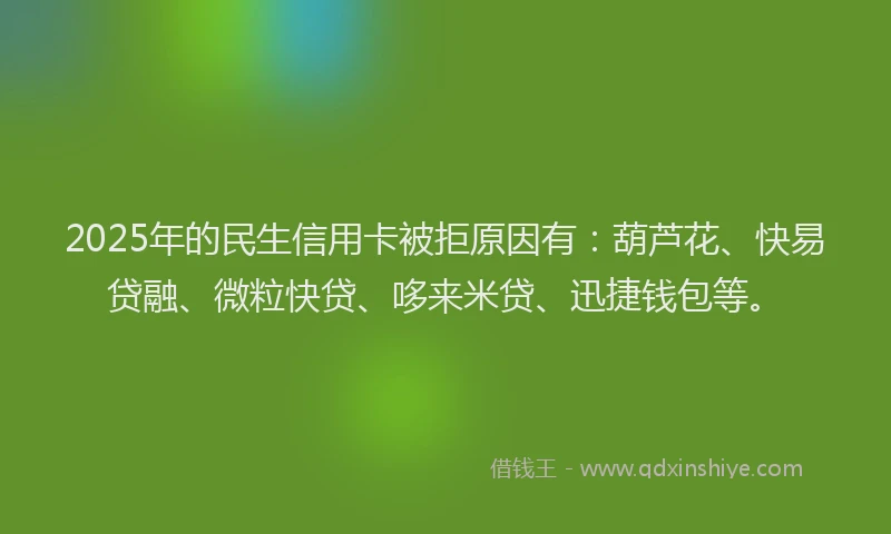 2025年的民生信用卡被拒原因有：葫芦花、快易贷融、微粒快贷、哆来米贷、迅捷钱包等。