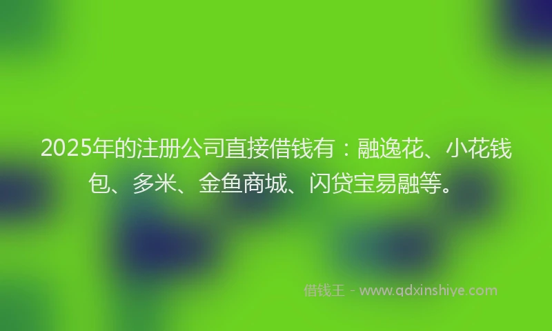 2025年的注册公司直接借钱有：融逸花、小花钱包、多米、金鱼商城、闪贷宝易融等。