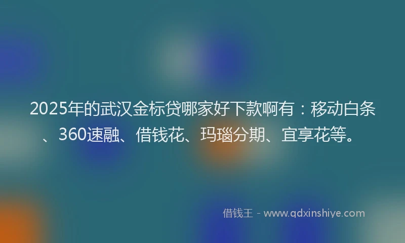 2025年的武汉金标贷哪家好下款啊有：移动白条、360速融、借钱花、玛瑙分期、宜享花等。