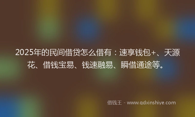2025年的民间借贷怎么借有：速享钱包+、天源花、借钱宝易、钱速融易、瞬借通途等。