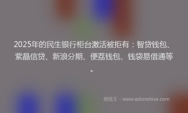 2025年的民生银行柜台激活被拒有：智贷钱包、紫晶信贷、新浪分期、便荔钱包、钱袋易借通等。