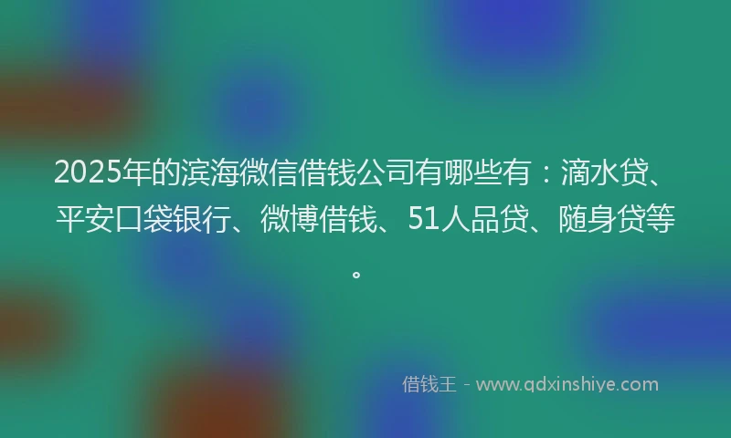 2025年的滨海微信借钱公司有哪些有：滴水贷、平安口袋银行、微博借钱、51人品贷、随身贷等。
