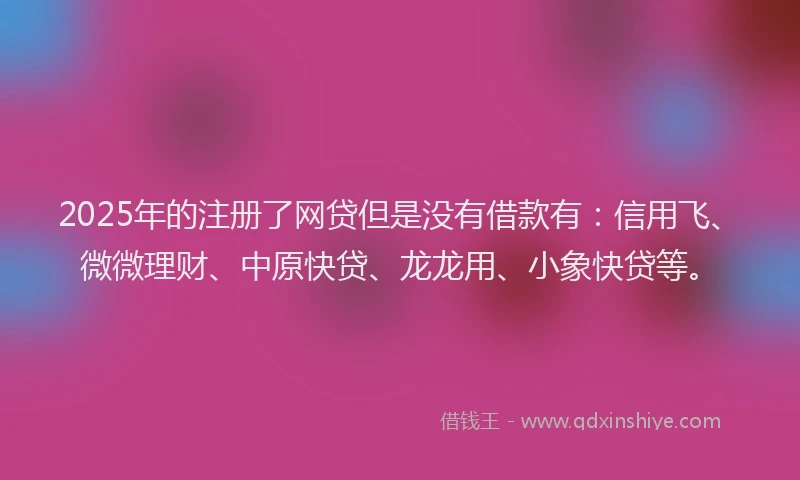 2025年的注册了网贷但是没有借款有：信用飞、微微理财、中原快贷、龙龙用、小象快贷等。