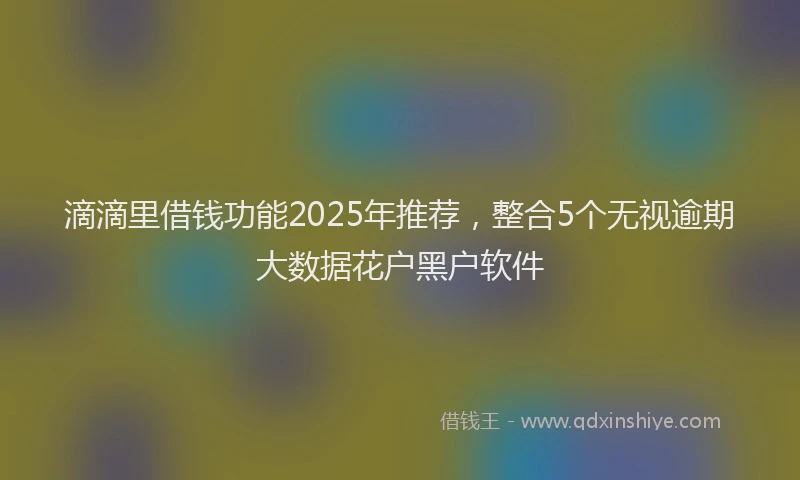 滴滴里借钱功能2025年推荐，整合5个无视逾期大数据花户黑户软件