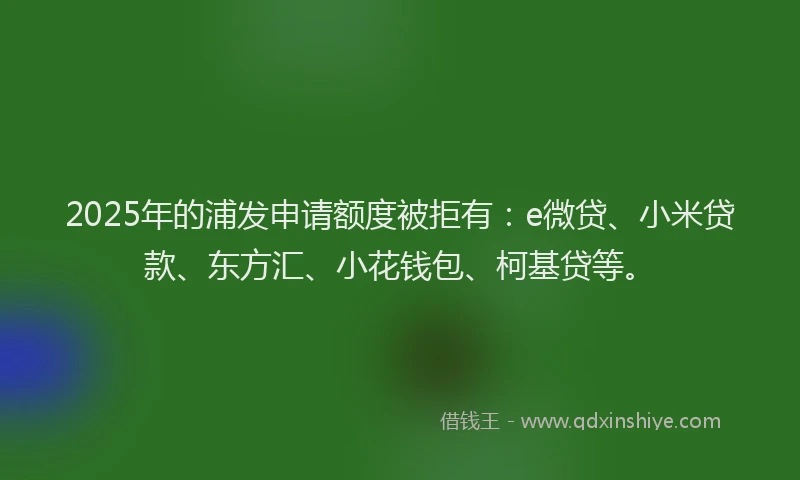 2025年的浦发申请额度被拒有：e微贷、小米贷款、东方汇、小花钱包、柯基贷等。