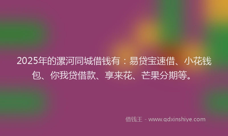 2025年的漯河同城借钱有：易贷宝速借、小花钱包、你我贷借款、享来花、芒果分期等。