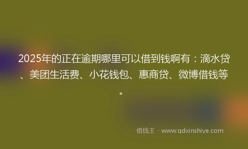 2025年的正在逾期哪里可以借到钱啊有：滴水贷、美团生活费、小花钱包、惠商贷、微博借钱等。