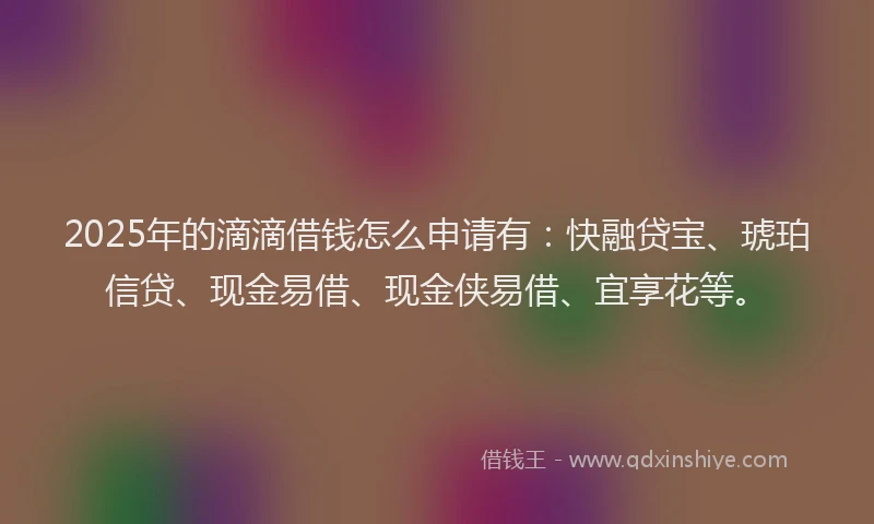 2025年的滴滴借钱怎么申请有：快融贷宝、琥珀信贷、现金易借、现金侠易借、宜享花等。