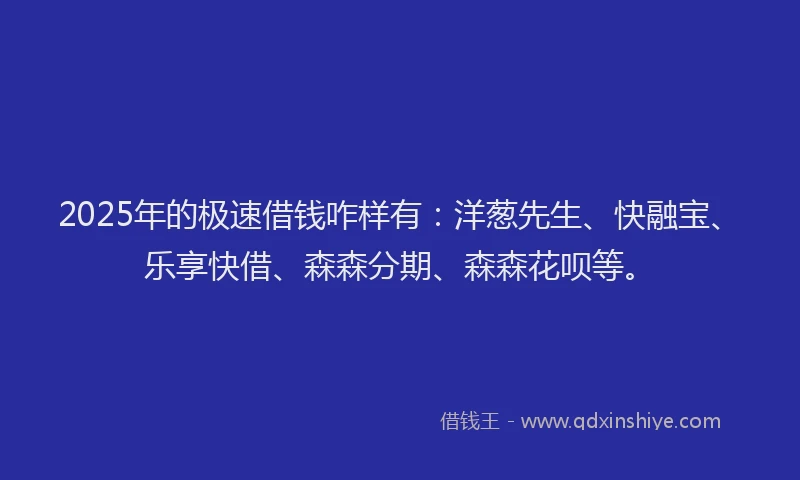 2025年的极速借钱咋样有：洋葱先生、快融宝、乐享快借、森森分期、森森花呗等。