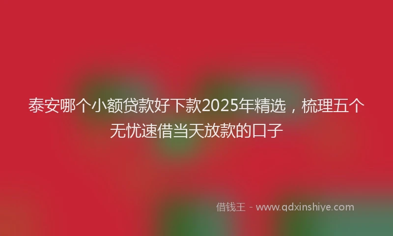泰安哪个小额贷款好下款2025年精选，梳理五个无忧速借当天放款的口子