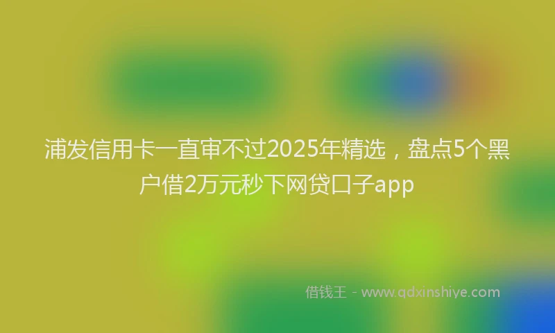 浦发信用卡一直审不过2025年精选，盘点5个黑户借2万元秒下网贷口子app