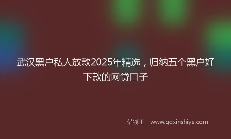 武汉黑户私人放款2025年精选，归纳五个黑户好下款的网贷口子