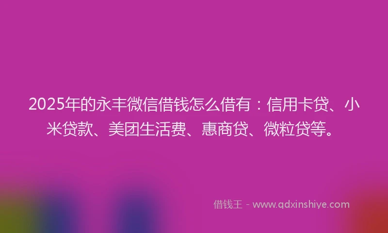 2025年的永丰微信借钱怎么借有：信用卡贷、小米贷款、美团生活费、惠商贷、微粒贷等。
