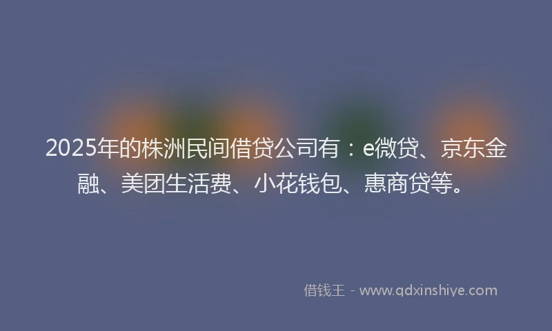 2025年的株洲民间借贷公司有：e微贷、京东金融、美团生活费、小花钱包、惠商贷等。