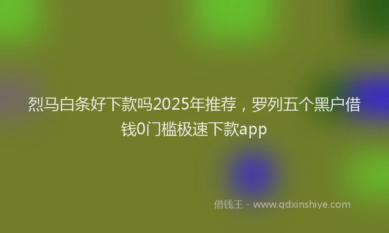 烈马白条好下款吗2025年推荐，罗列五个黑户借钱0门槛极速下款app
