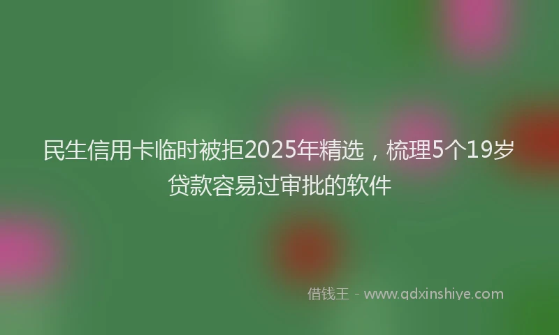 民生信用卡临时被拒2025年精选，梳理5个19岁贷款容易过审批的软件