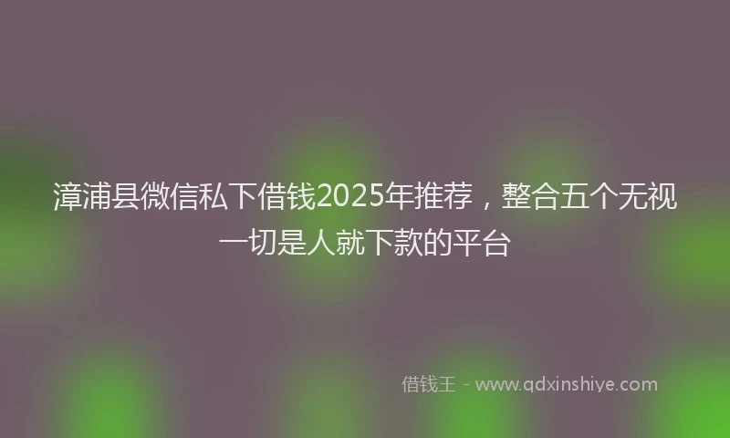 漳浦县微信私下借钱2025年推荐，整合五个无视一切是人就下款的平台