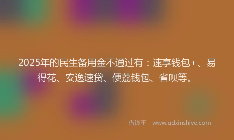 2025年的民生备用金不通过有：速享钱包+、易得花、安逸速贷、便荔钱包、省呗等。