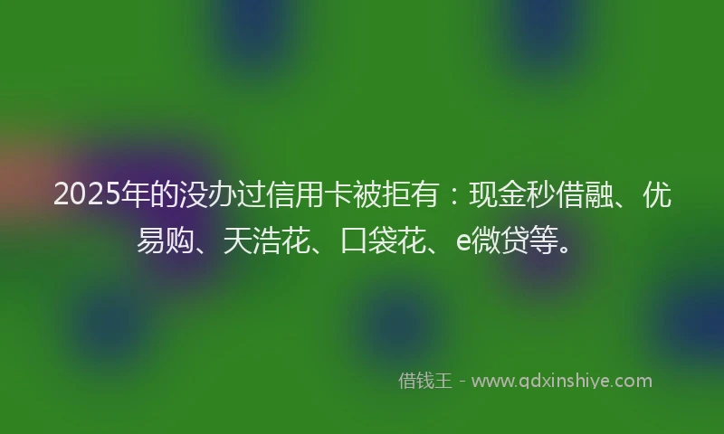 2025年的没办过信用卡被拒有：现金秒借融、优易购、天浩花、口袋花、e微贷等。