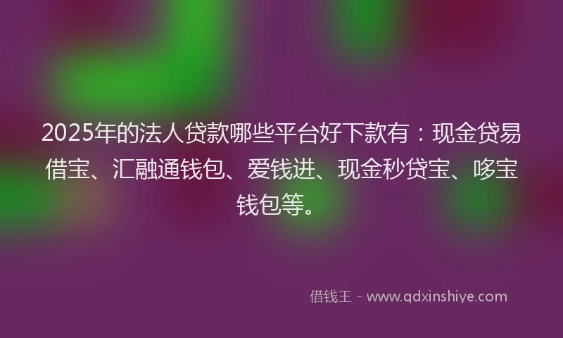 2025年的法人贷款哪些平台好下款有：现金贷易借宝、汇融通钱包、爱钱进、现金秒贷宝、哆宝钱包等。