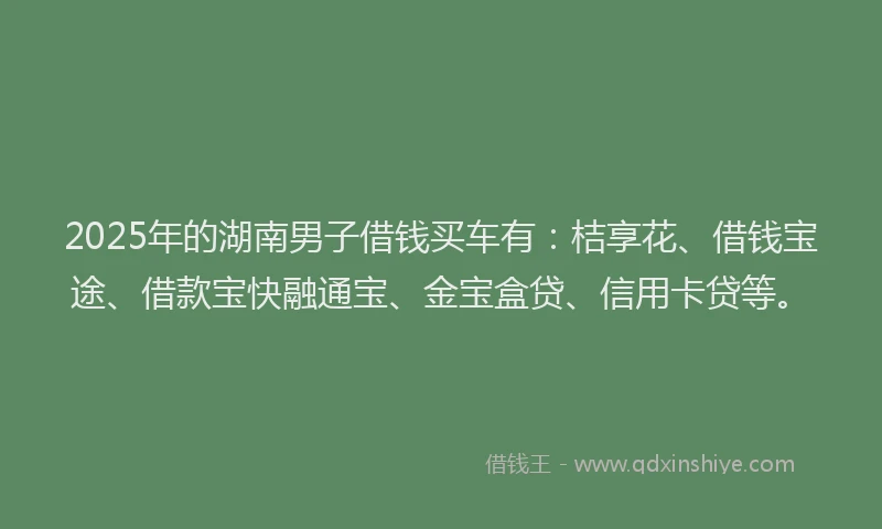 2025年的湖南男子借钱买车有：桔享花、借钱宝途、借款宝快融通宝、金宝盒贷、信用卡贷等。