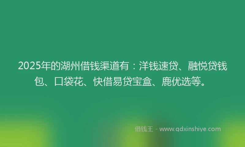 2025年的湖州借钱渠道有：洋钱速贷、融悦贷钱包、口袋花、快借易贷宝盒、鹿优选等。