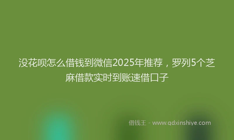 没花呗怎么借钱到微信2025年推荐，罗列5个芝麻借款实时到账速借口子