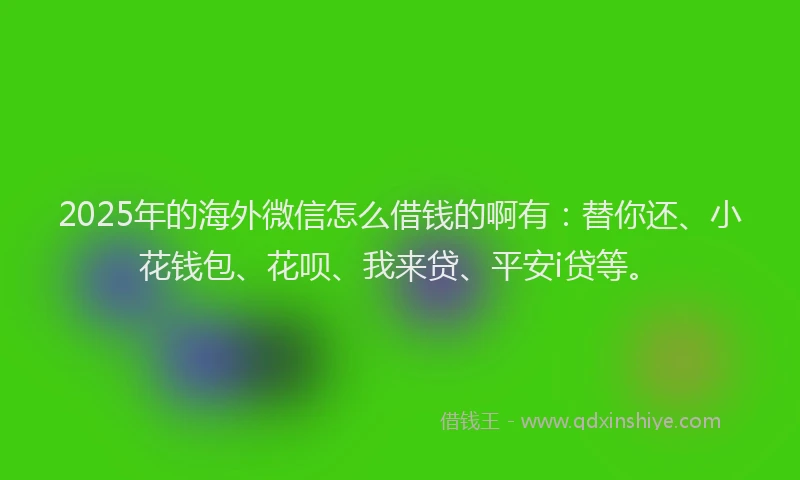 2025年的海外微信怎么借钱的啊有：替你还、小花钱包、花呗、我来贷、平安i贷等。