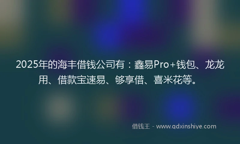 2025年的海丰借钱公司有：鑫易Pro+钱包、龙龙用、借款宝速易、够享借、喜米花等。