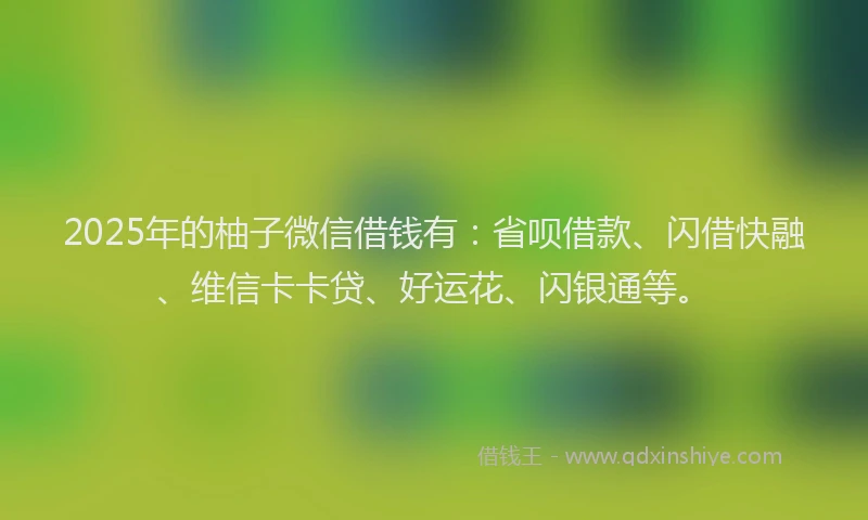 2025年的柚子微信借钱有：省呗借款、闪借快融、维信卡卡贷、好运花、闪银通等。