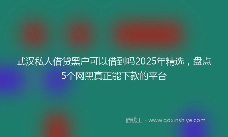 武汉私人借贷黑户可以借到吗2025年精选，盘点5个网黑真正能下款的平台