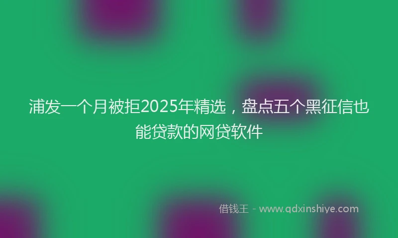 浦发一个月被拒2025年精选，盘点五个黑征信也能贷款的网贷软件